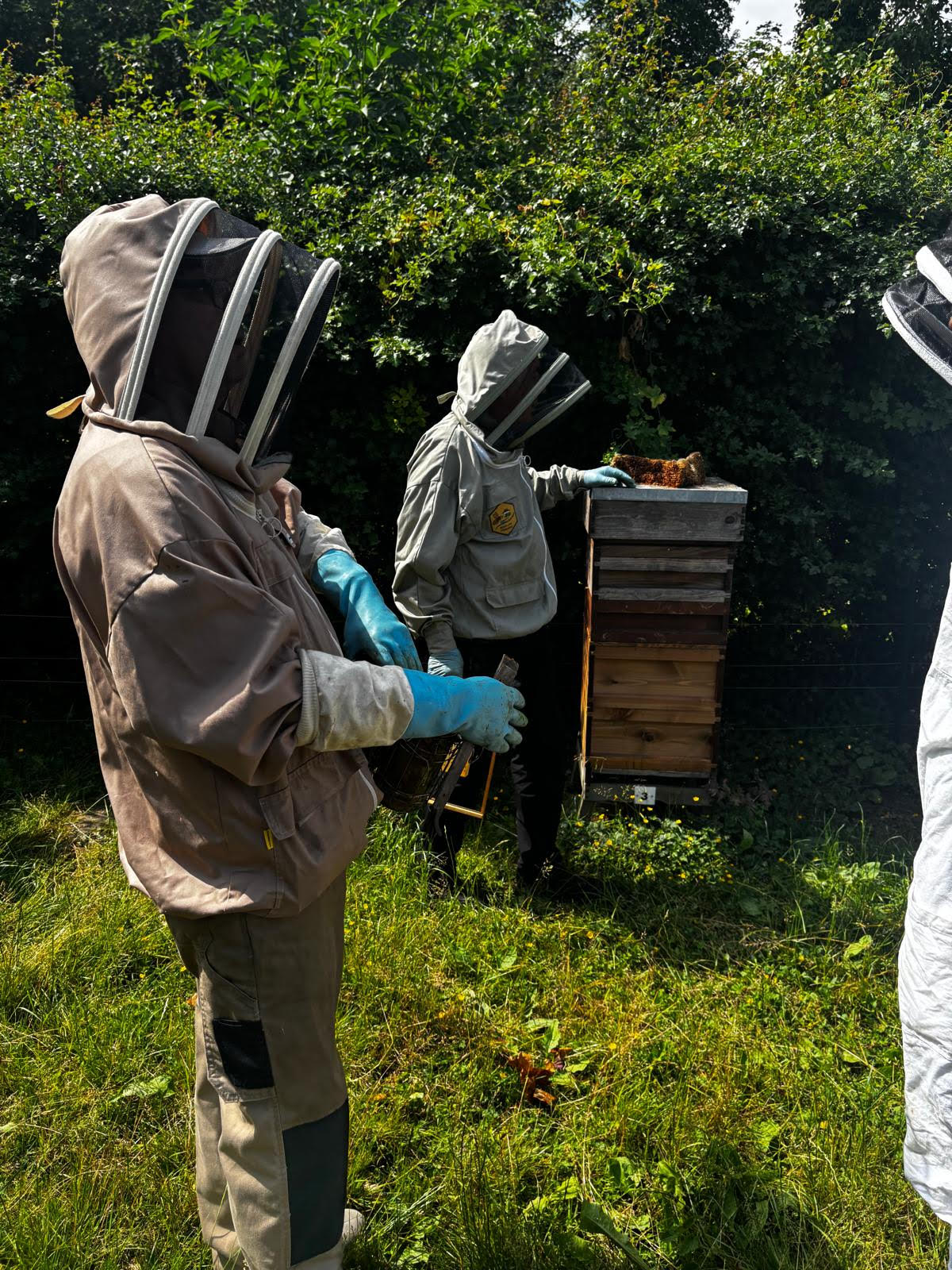Beekeepers at Work